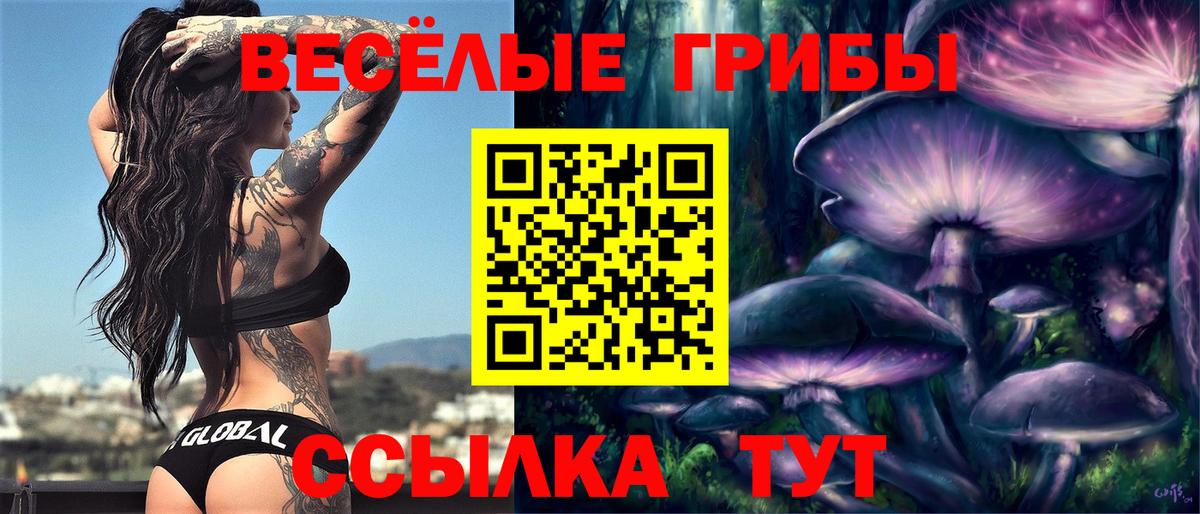 Галлюциногенные грибы Cubensis  что такое наркотик  Липецк  Галлюциногенные грибы Magic Shrooms 