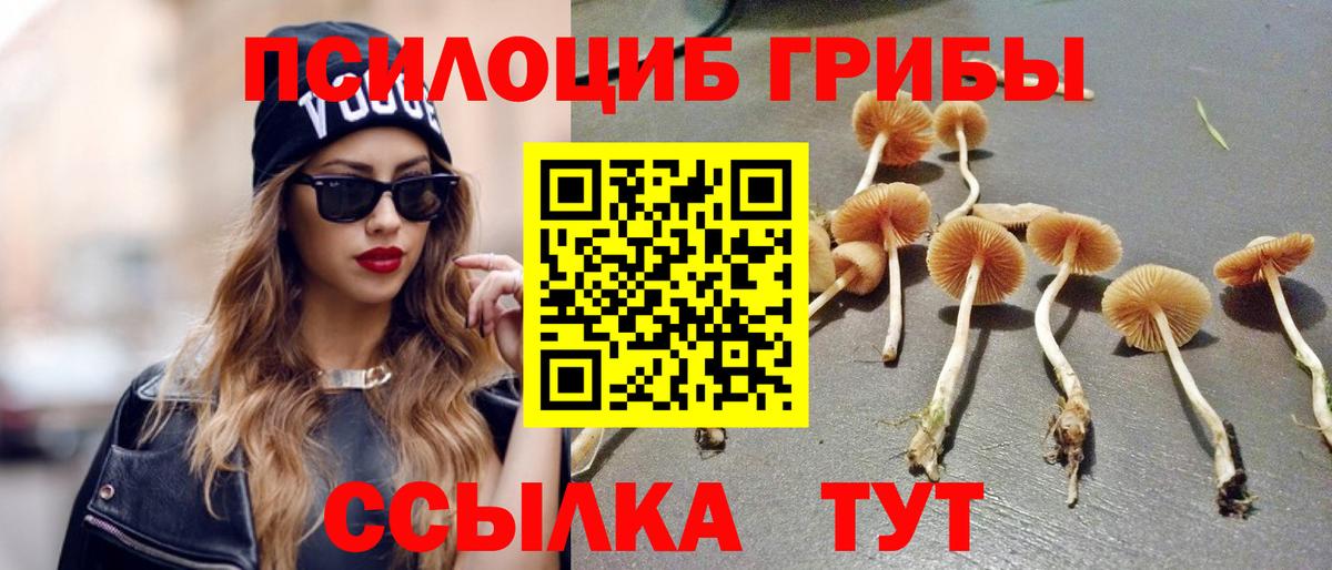 Галлюциногенные грибы мухоморы  Вход с VPN  где продают наркотики  Липецк  Галлюциногенные грибы мухоморы 